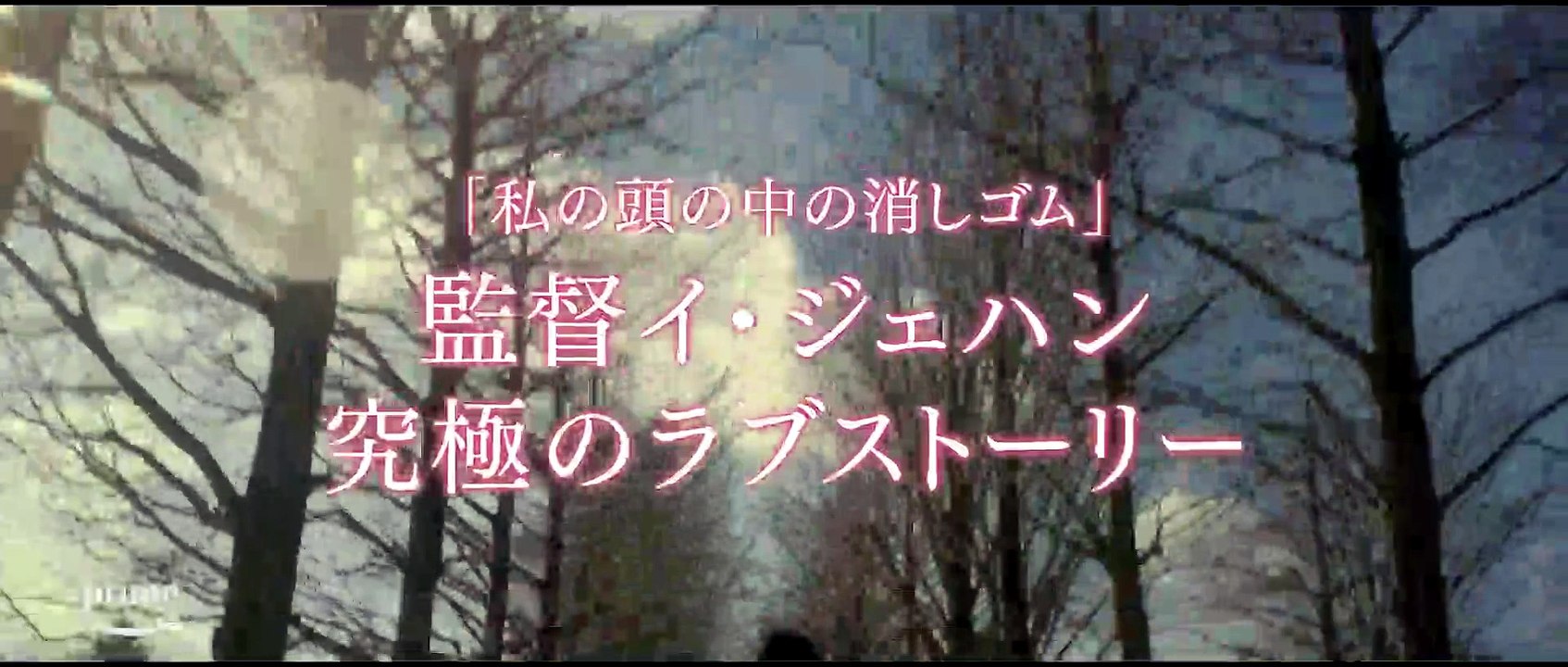 SEE HEAR LOVE (2023) Trailer VO - JAPAN [Full Movie]