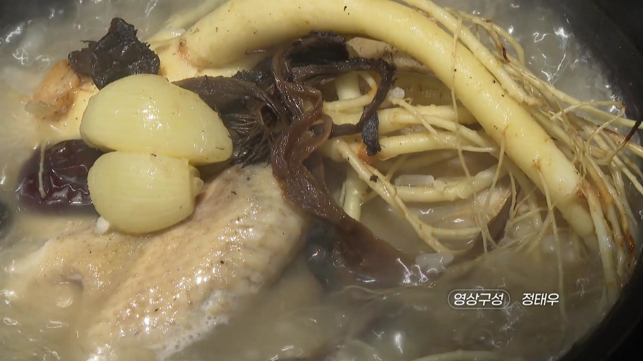 [영상] 중복 더위 물리치는 비장의 무기 / YTN