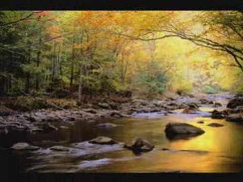 Conversation entre Mohamed Awadhi & Rashed affasyالله