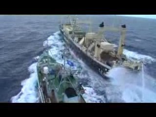 6. Sea Shepherd Antartica Campaign 06/07