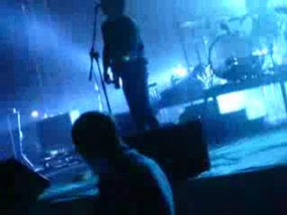 BB BRUNES