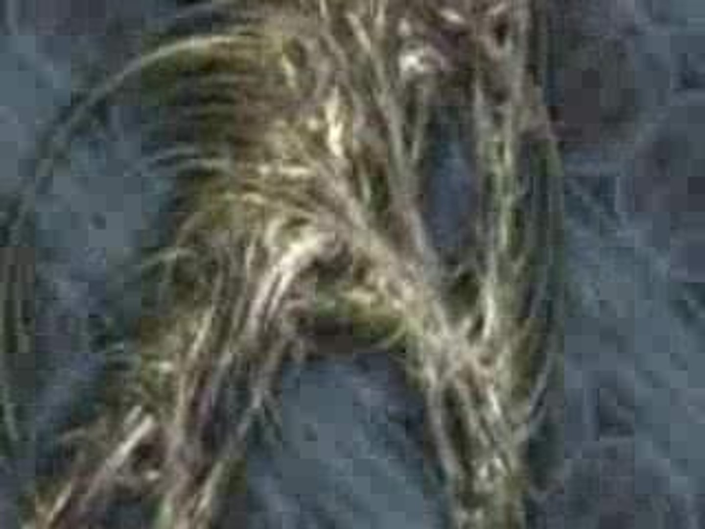 strange virtual world