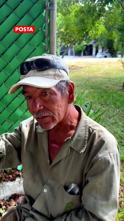 Árbol seco: cuándo reportarlo, cómo retirarlo y qué dice la ley en Nuevo León