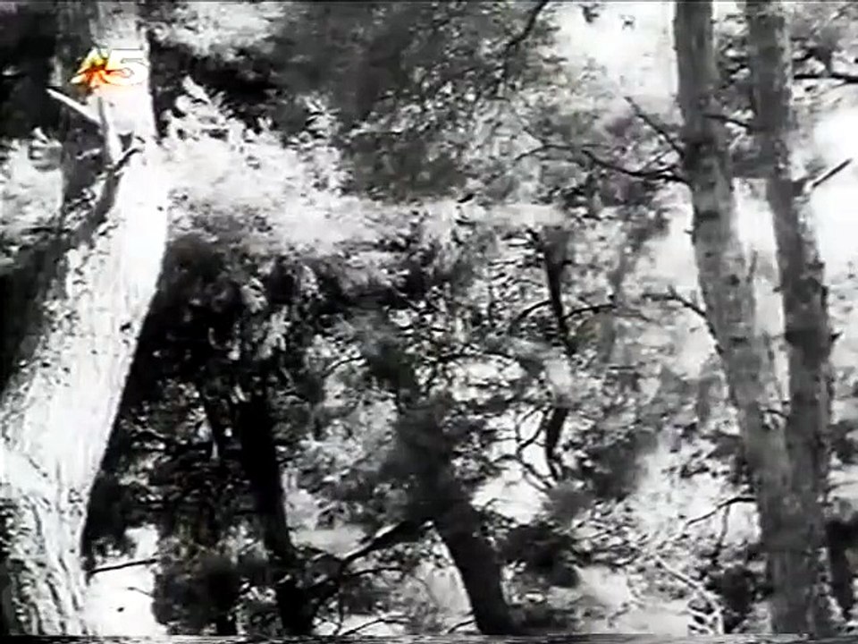 Το λάθος (1965)