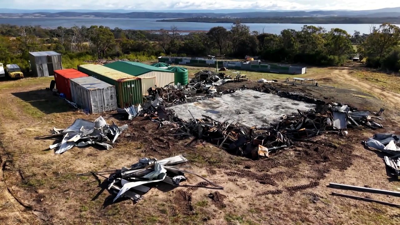 Advocates call for harsher laws as Tasmania reports rise in gun theft