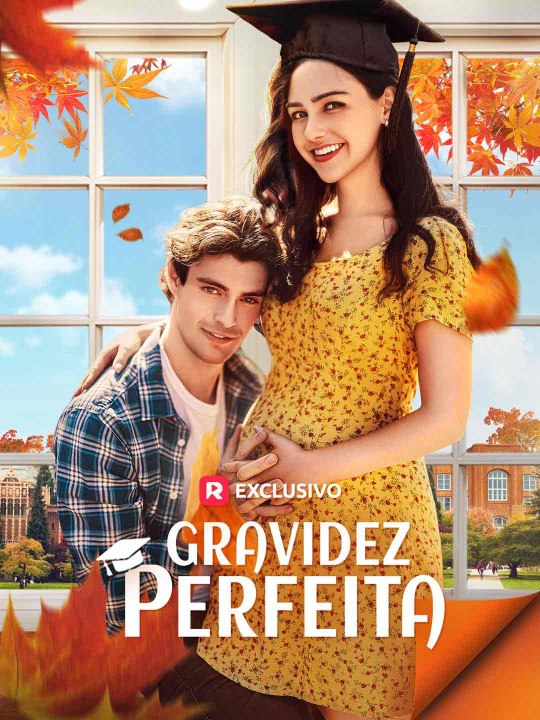 Gravidez Perfeita Série Completa