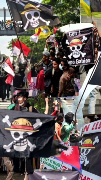How I PIARTE flag became symbol of protest