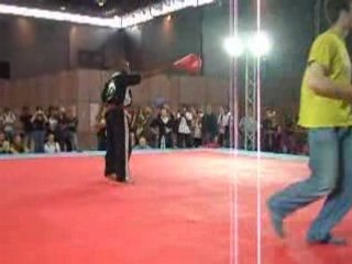 Karate artistique suite