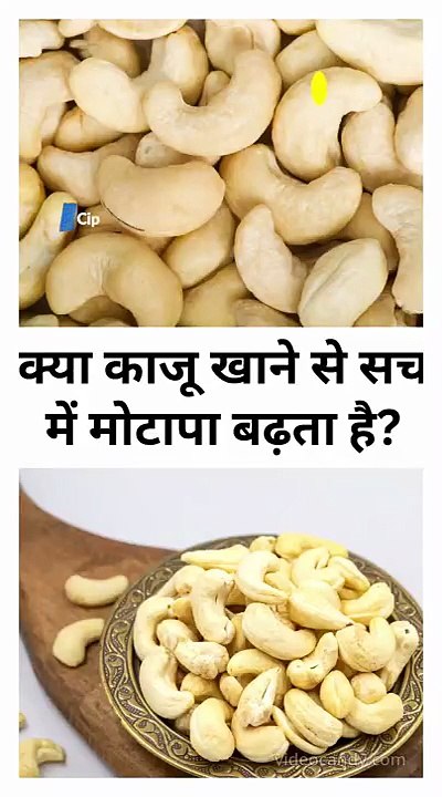 क्या काजू खाने से सच में मोटापा बढ़ता है