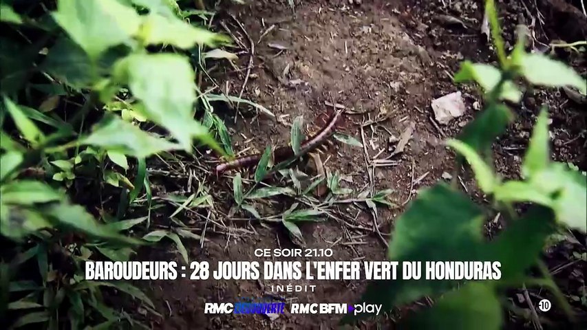 Baroudeurs