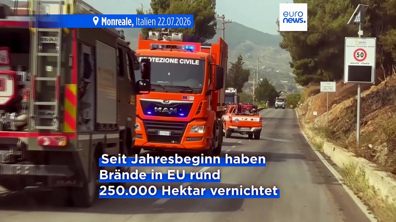 Nachrichten des Tages | 25. Juli 2026 - Morgenausgabe