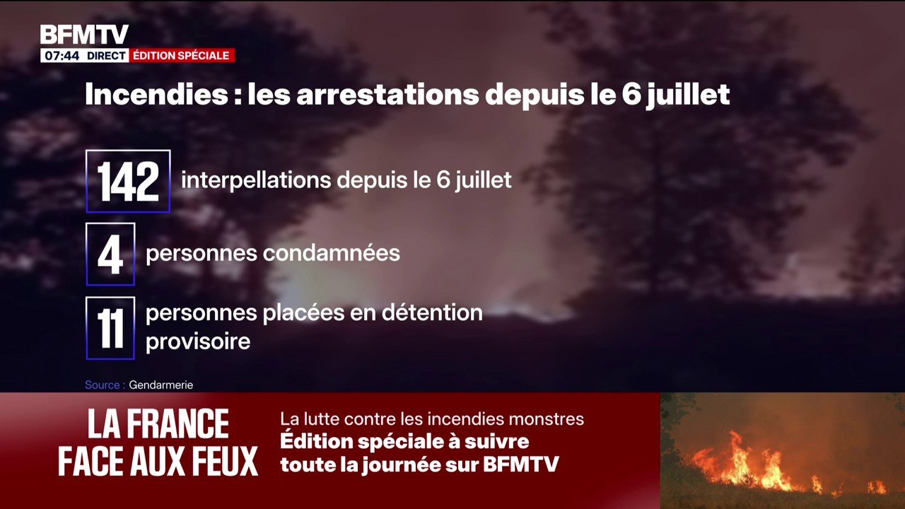 Incendies: 142 personnes interpellées depuis le 6 juillet, 4 personnes condamnées