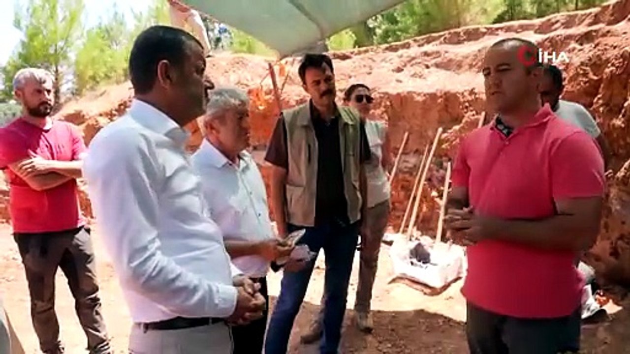 Denizli’de toprağın altından çıktı! 7 milyon yıllık kılıç dişli kedi kafatası bulundu