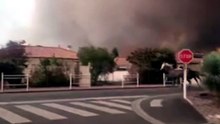 Francia e Spagna devastate dagli incendi, le immagini dei cavalli in fuga - VIDEO