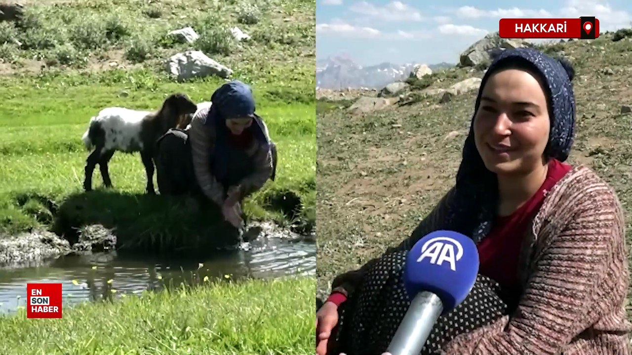 Göçer kız iki kuzuya adeta annelik yapıyor