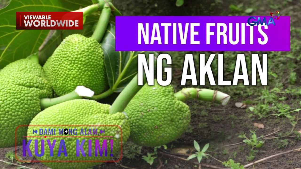 Native na mga prutas ng Aklan, tikman! | Dami Mong Alam, Kuya Kim!
