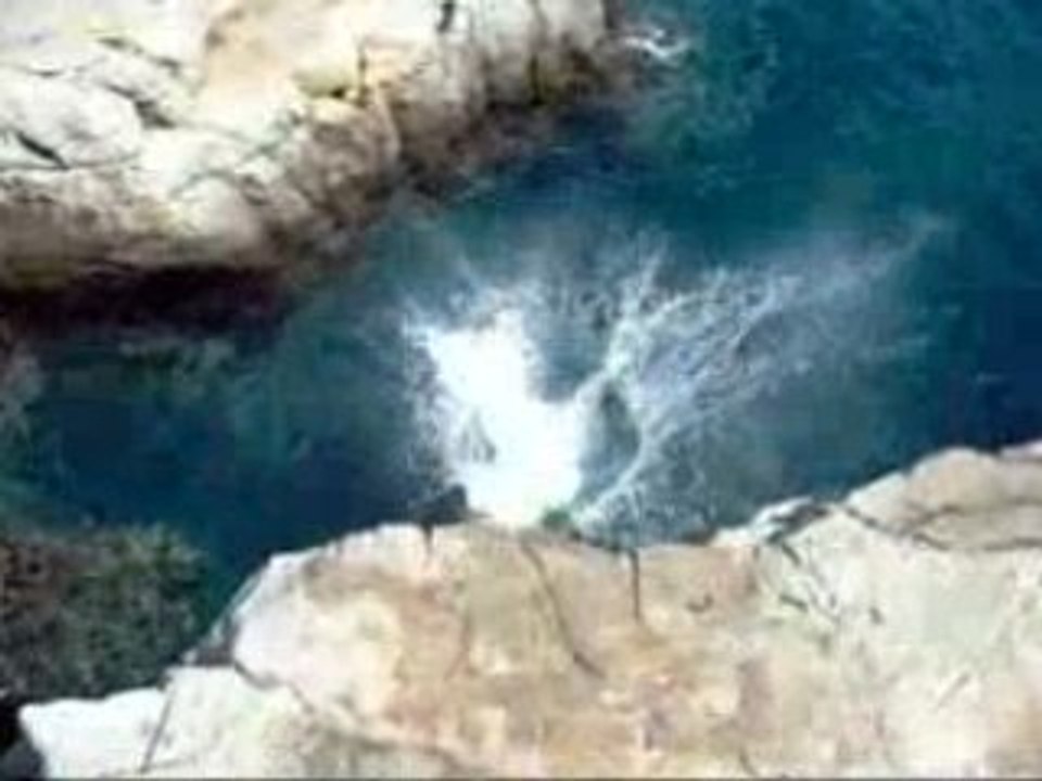 saltos et plongeons a bendor