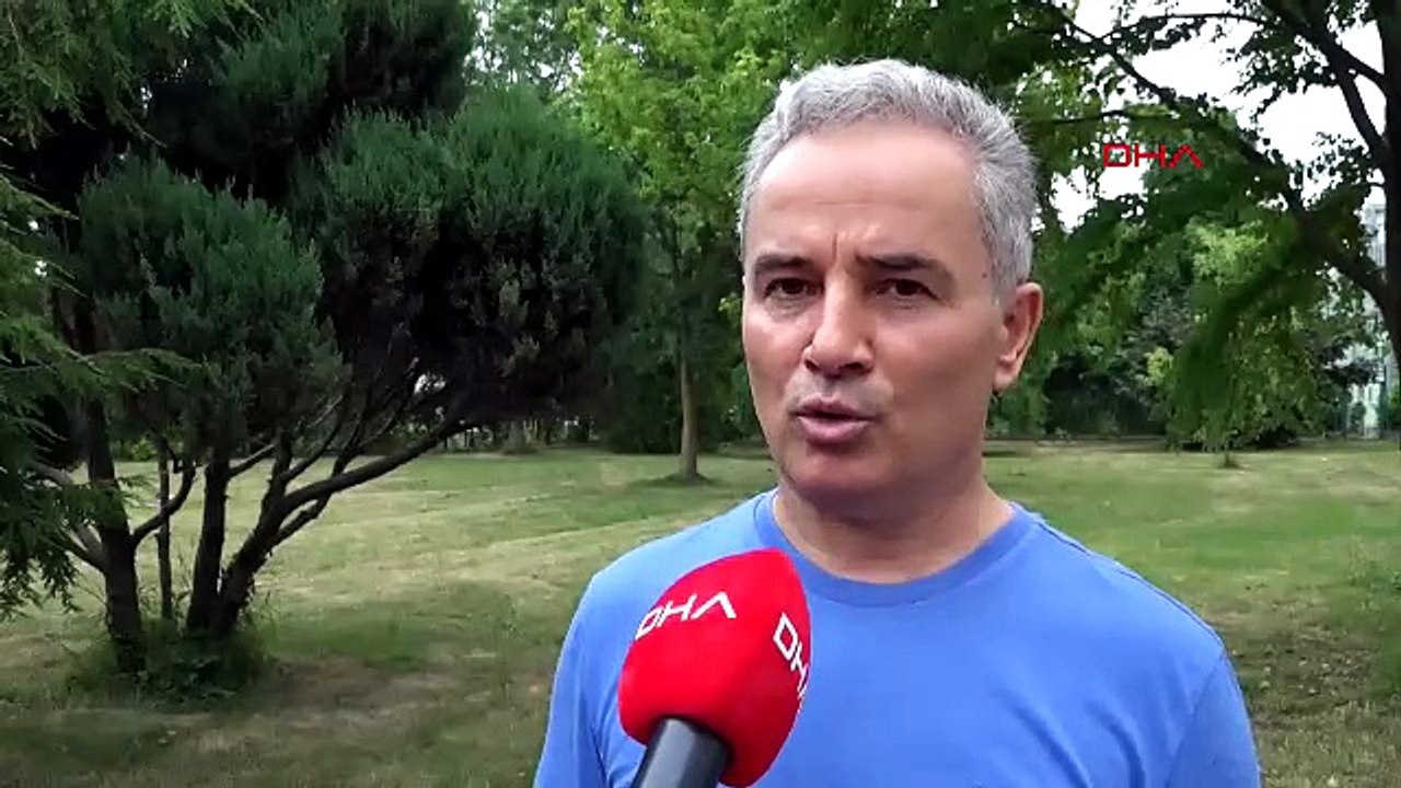 Sokak köpeklerinden sonra şimdi de martı popülasyonu tartışmaları başlıyor!