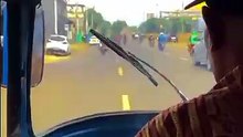 my trip my safari