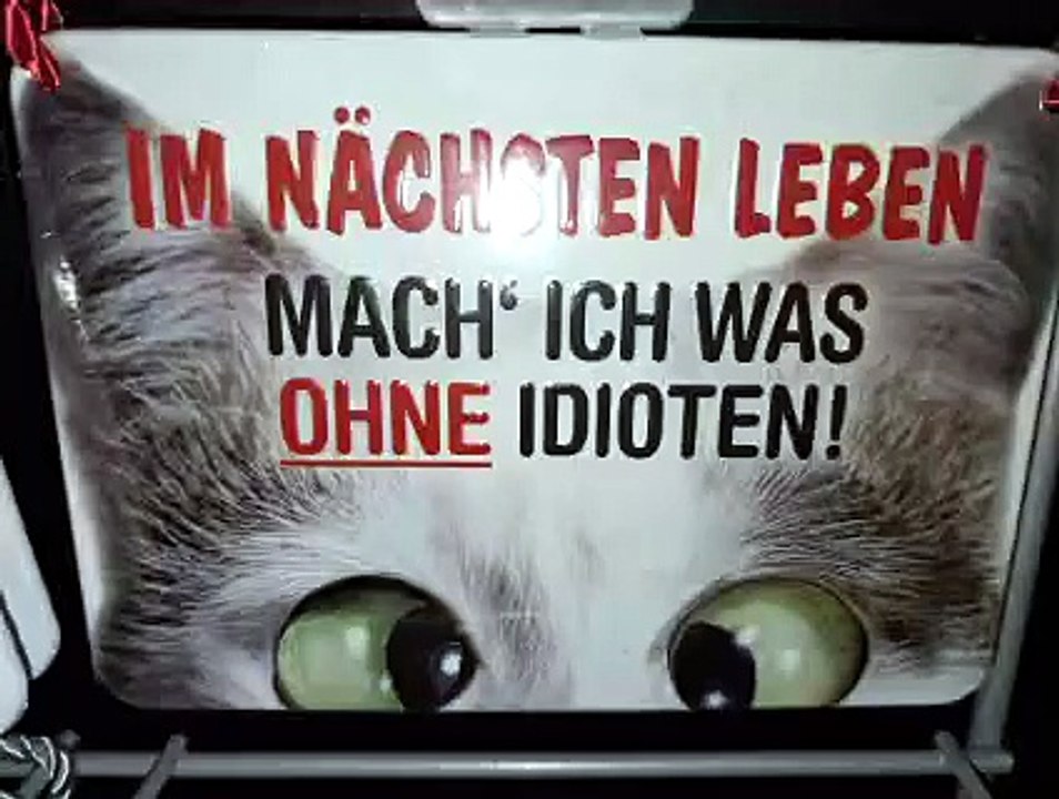 Meister der Minusleitung
