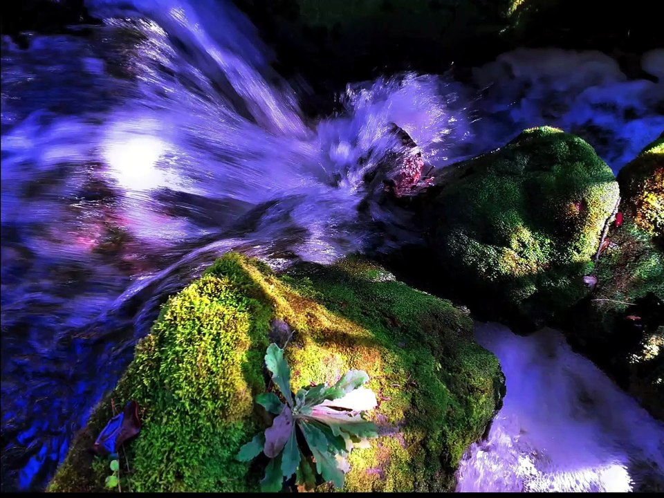 Source d'eau pure