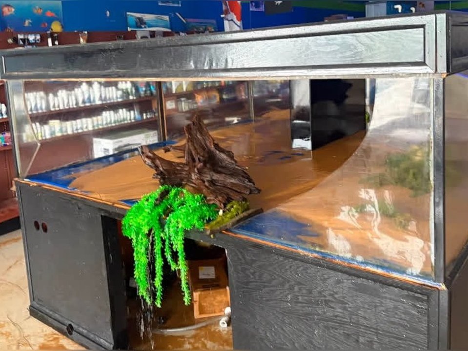 Aquarium zerbricht: 7.570 Liter überfluten Tierhandlung