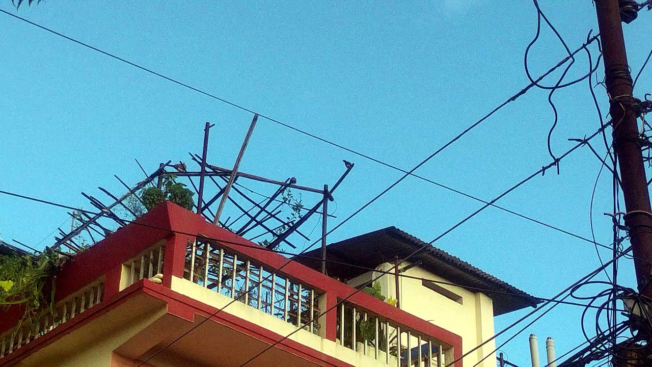 👀 Can You See Two Doves Sitting on the Bamboo Poles? 🕊️🕊️