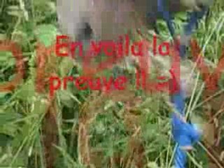 Dernier jour avec Iowa