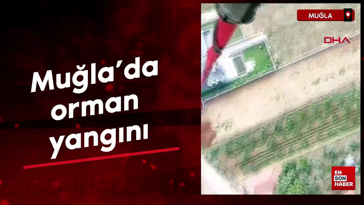 Muğla’da orman yangını