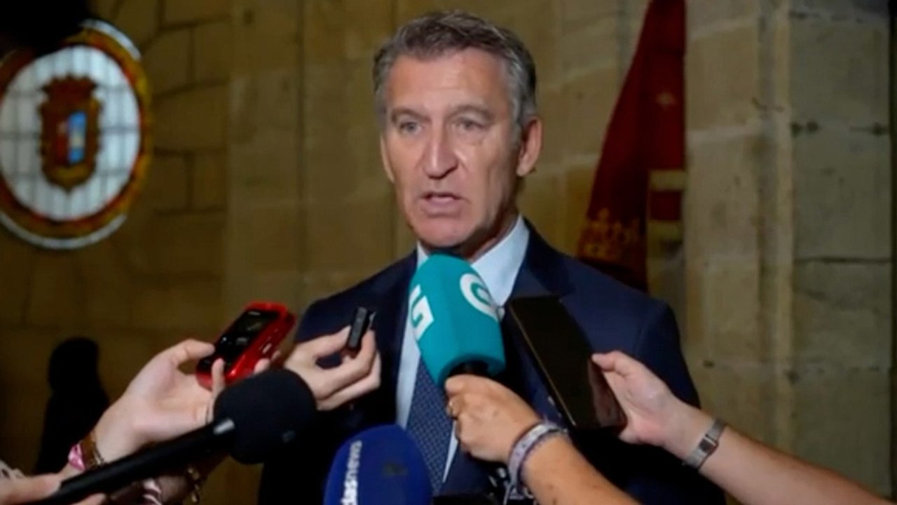 Feijóo pide a las administraciones que trabajen juntas frente al fuego y sugiere "refrescar el ambiente político"