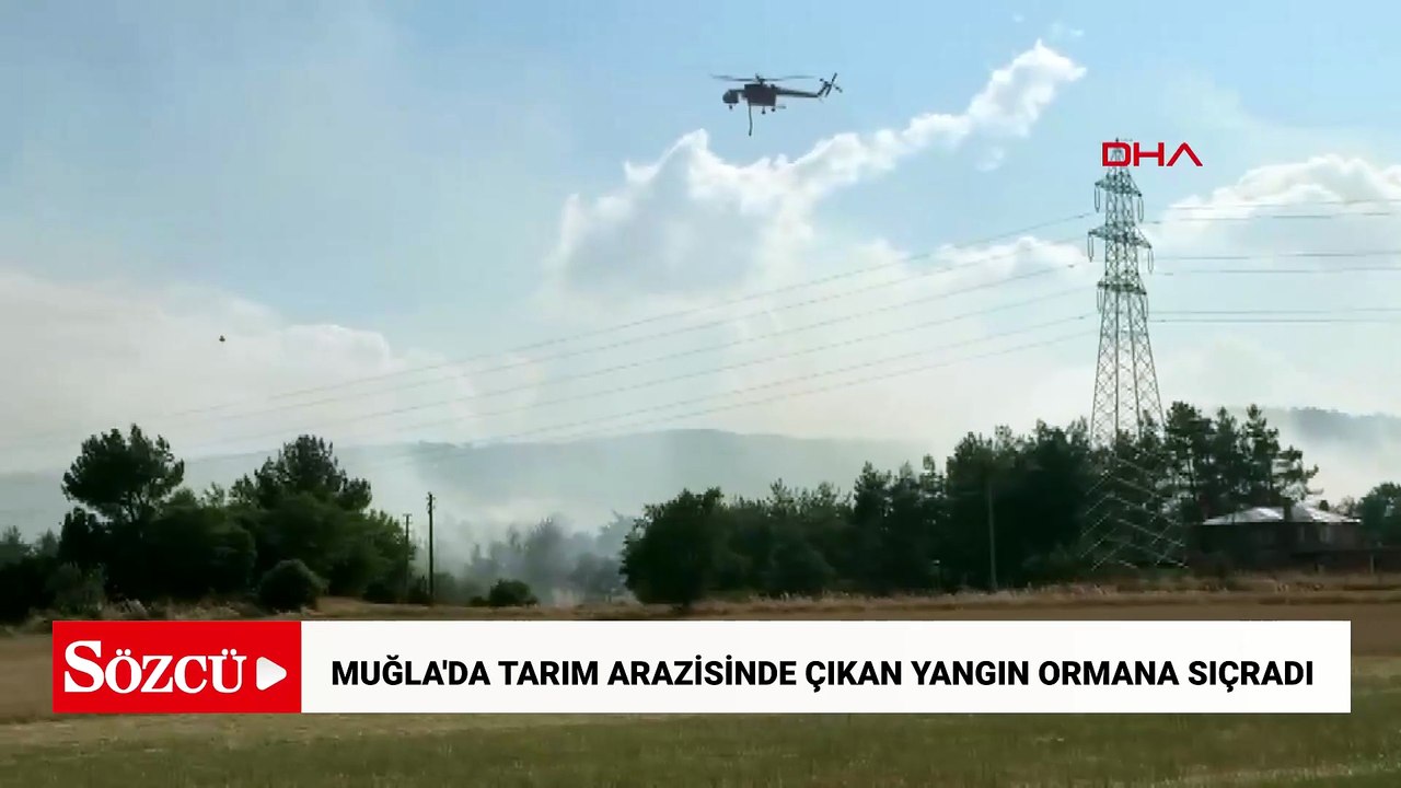 Muğla'da tarım arazisinde çıkan yangın ormana sıçradı