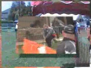 Agility (G.P.F. et Open de Mondelange 2008) Ham-sous-Vasberg