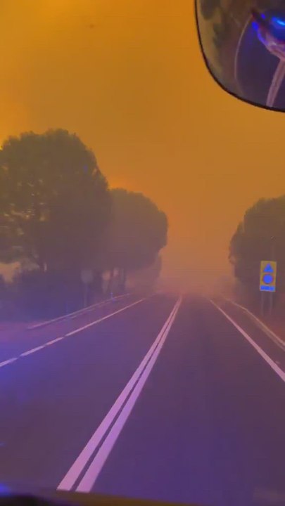 Así se juegan la vida los bomberos para sofocar los incendios que azotan Madrid y Ávila: es espeluznante