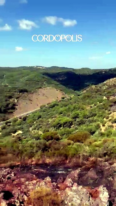 Los efectos del incendio de la Sierra de Córdoba, desde dentro