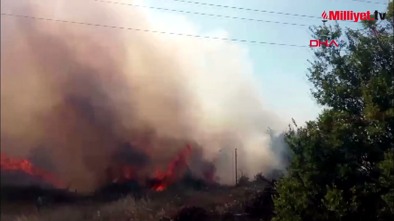 Muğla'da tarım arazisinde başlayan yangın ormana sıçradı