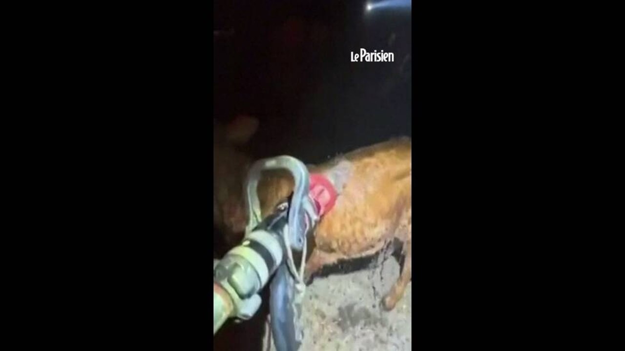 Espagne : Le « pire incendie de l’histoire » dans la région de Madrid ravage 25 000 ha