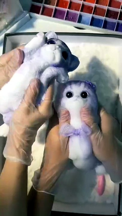Squizzy Toy Cat Its Very Beautiful 🐈 🐈#cat #animal #foryou #fyp #dailymotion #video #viral #shortvideo #trendingvideo #trending #cats