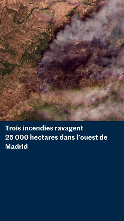 Trois incendies ravagent 25 000 hectares dans l’ouest de Madrid