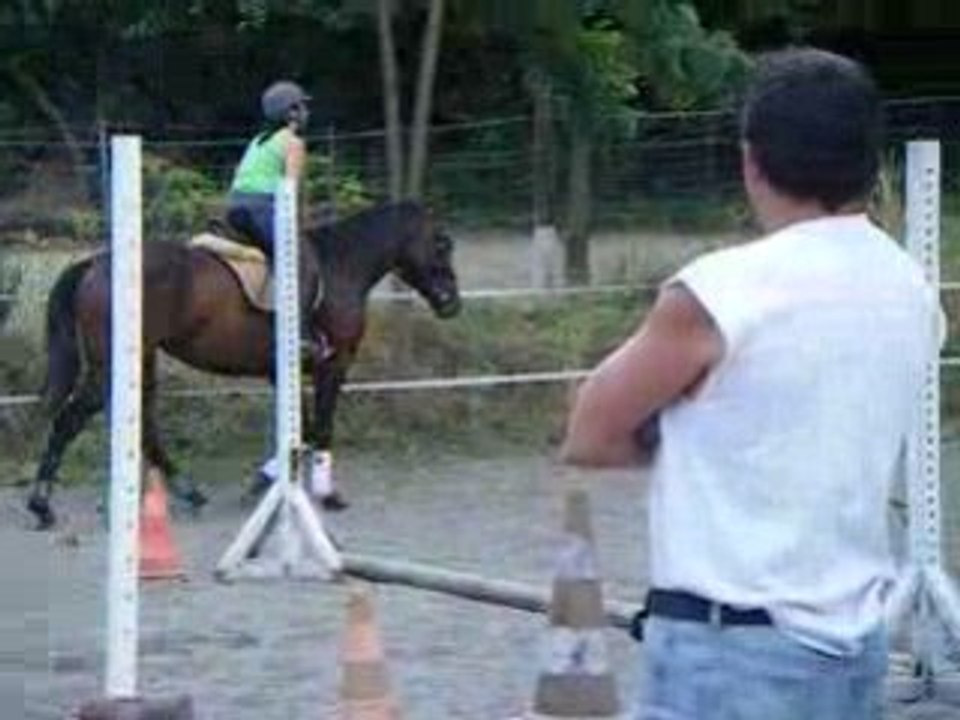 Dressage patrice 08juillet08 016