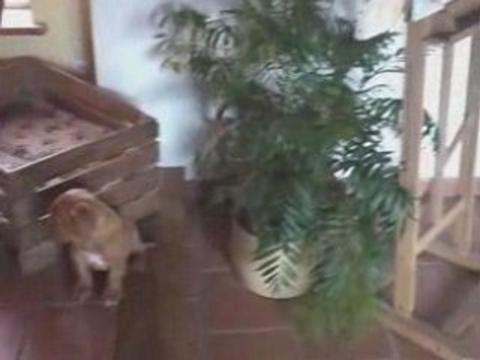 Eudipe_3_mois