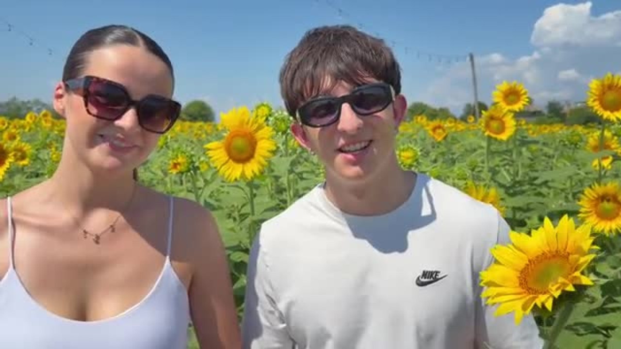 Treviso, il campo dei girasoli di «Nonno Andrea»: il video dei visitatori tra i fiori a perdita d'occhio