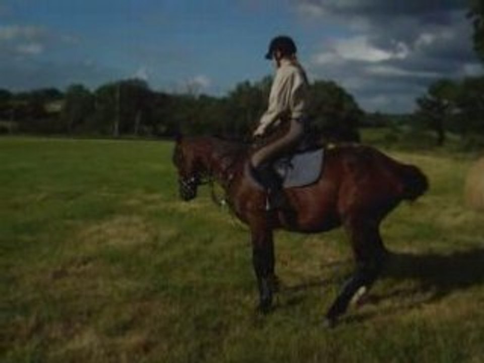 QUITA travaille sur le plat !