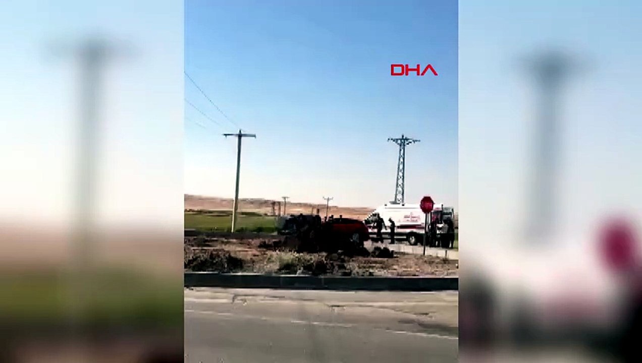 Yıldırımın isabet ettiği sürüde 50 keçi telef oldu