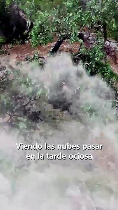 Dios rebelde en cuerpo infantil En Español [Full Movie]