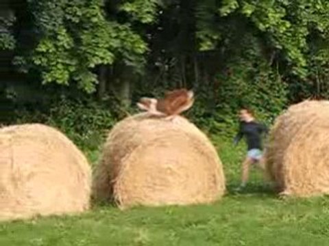 Fluffy et les bottes de foin
