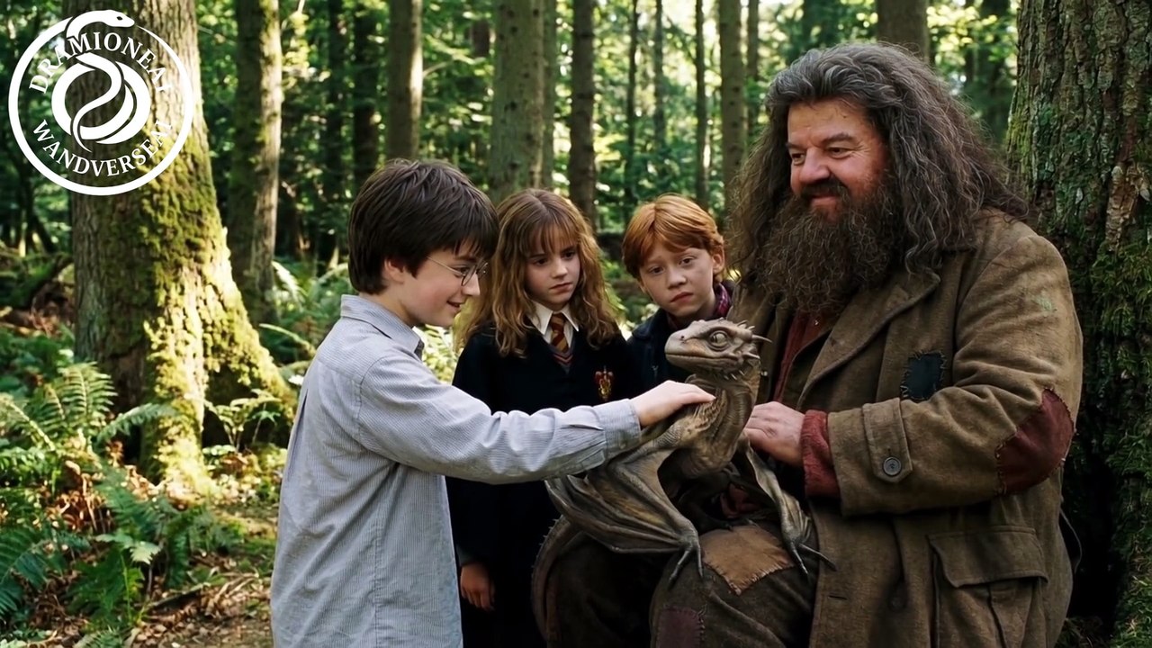 What If Hagrid Kept Norbert - Fire in the Forest