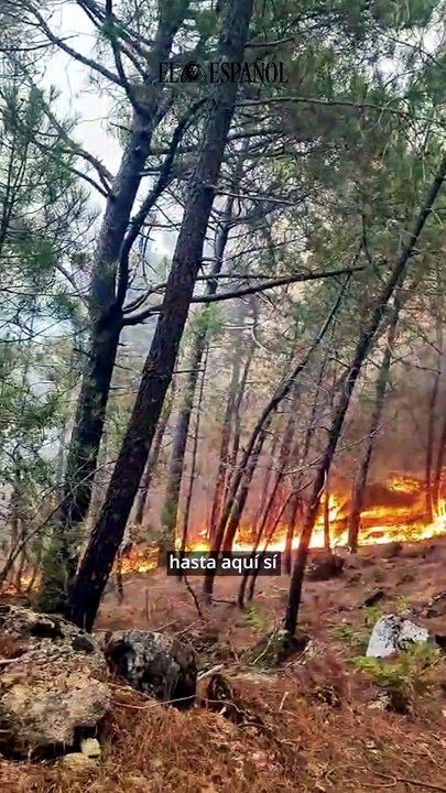 Un incendio cerca Escalona obliga a cortar accesos y activar desalojos