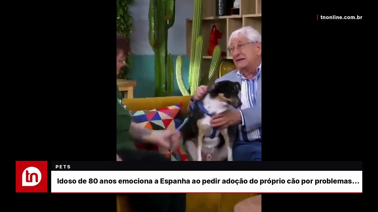 Idoso de 80 anos emociona a Espanha ao pedir adoção do próprio cão por problemas de saúde