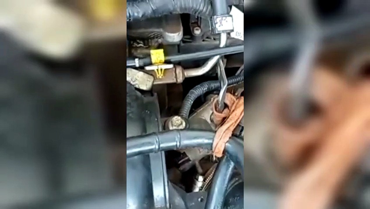 Morador de Apucarana suspeita de maus-tratos após encontrar gato morto preso ao motor de carro