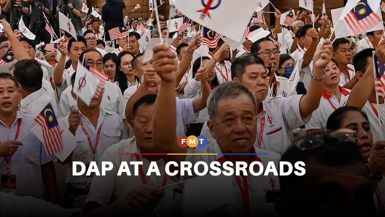 DAP can renew itself or double down on Chinese base, says Ong